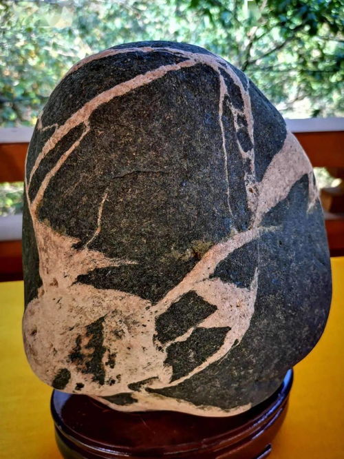 阜平县第二届雪浪石文化展 石韵天成，文蕴流传