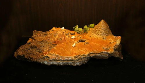 石界有个吴乃江